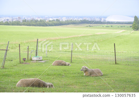 札幌羊丘展望台的景色 130057635