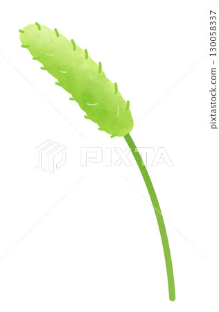Illustration of a grass cat toy 130058337