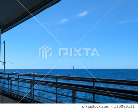 海 海 130059131