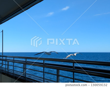 海鷗 海鷗 130059132