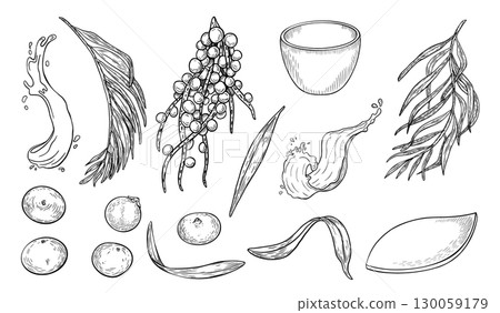 Acai berries, juice splash black white vector clipart. Fresh berries and kitchen utensils outline illustration isolated. Superfood botanical elements hand drawn ink. Fruit, leaf for design packaging. 130059179