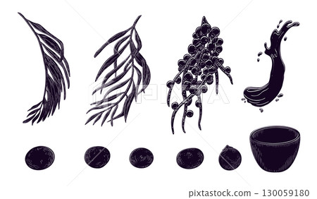 Acai berries, palm leaves black white vector illustration isolated on white. Superfood purple berries, palm fronds silhouette clipart hand drawn. Berries, bowl for design wrapping, packaging, label. Acai berries, palm leaves black white vector illustration isolated on white. Superfood purple berries, palm fronds silhouette clipart hand drawn. Berries, bowl for design wrapping, packaging, label. 130059180