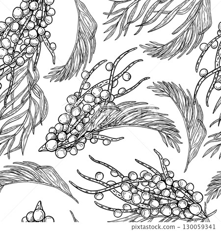 Acai berries on branches tropical palm leaves hand drawn black white vector repeat background. Monochrome jungle foliage ripe fruits seamless pattern for packaging, health product labels, textiles. 130059341