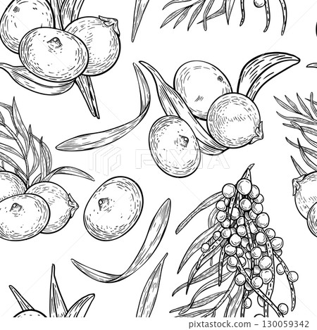 Hand drawn vector repeat of tropical acai berries and palm fronds black white pattern isolated. Superfood plants outline repeated background for organic food packaging, botanical monochrome prints. 130059342