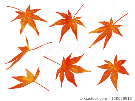 秋天的樹葉水彩風格 130059916