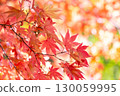 Bright orange autumn scenery 130059995