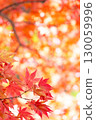 Bright orange autumn scenery 130059996