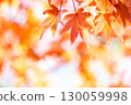 Bright orange autumn scenery 130059998