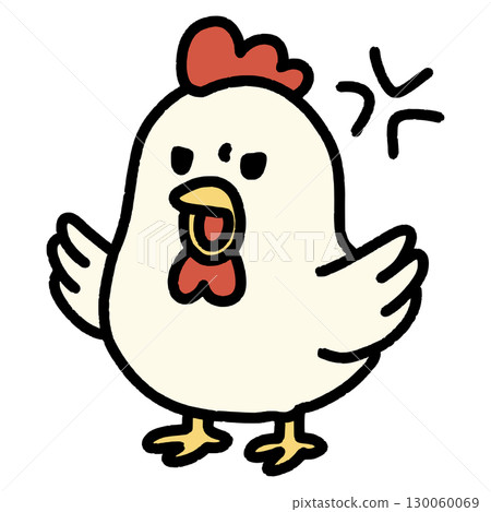 An angry chicken with wings spread in excitement An angry chicken with wings spread in excitement 130060069