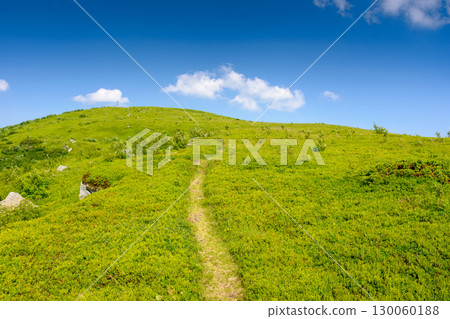 mountain landscape in summer. green hill and blue sky. scenic nature background for travel in alpine scenery of ukraine on a sunny weather in afternoon. peaceful view of carpathian mount smooth 130060188