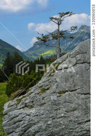 Scenic mountain landscape featuring a solitary tree on a rocky outcrop under a blue sky Scenic mountain landscape featuring a solitary tree on a rocky outcrop under a blue sky 130060858