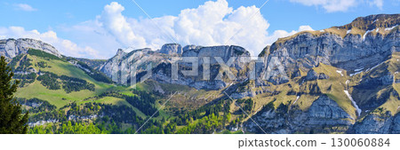 Breathtaking mountain landscape with lush greenery and blue skies in summer 130060884