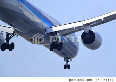 起飛和著陸一架客機 起飛和著陸一架客機 130061135