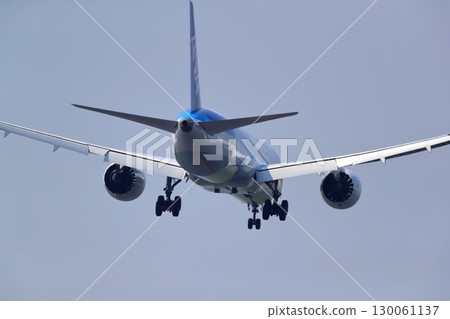 Takeoff and landing of an airliner 130061137