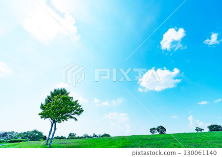 Blue sky, clouds, sun and grassland 130061140