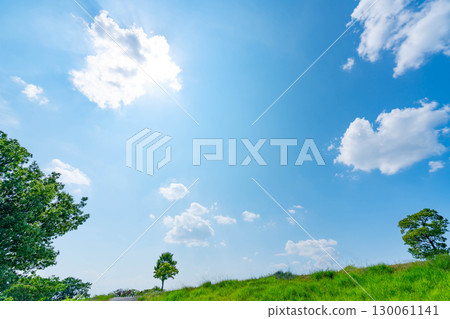藍天、白雲、陽光、草地 藍天、白雲、陽光、草地 130061141
