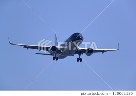 起飛和著陸一架客機 起飛和著陸一架客機 130061180
