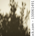 Real organic photo dark light natural shadow overlay neutral white old textured wall background bg 130061491