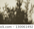 Handicraft real photo taken natural shadow overlay texture abstract neutral minimal outdoor wall 130061492