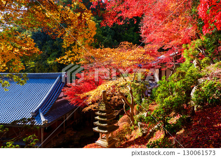秋天的橫國寺，被紅葉包圍 130061573