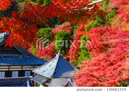 秋天的橫國寺，被紅葉包圍 130061574