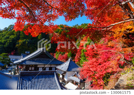 Yokokuji Temple in autumn, surrounded by autumn leaves 130061575