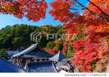Yokokuji Temple in autumn, surrounded by autumn leaves 130061576