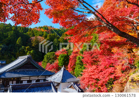 秋天的橫國寺,被紅葉包圍 秋天的橫國寺,被紅葉包圍 130061578