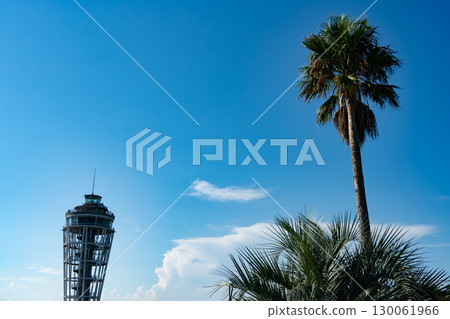 Enoshima Sea Candle 130061966