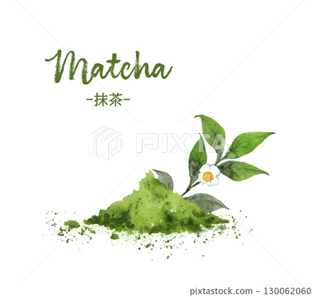 抹茶粉和茶花水彩 130062060