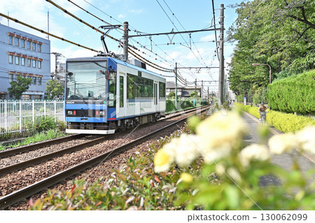 Toden Arakawa Line (Tokyo Sakura Tram) 8800 series (8806) Toden Arakawa Line (Tokyo Sakura Tram) 8800 series (8806) 130062099