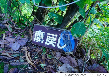 金頭山、妙義山的鷹歸跡 130062147