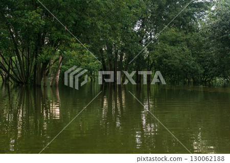 park during flood, trees stand in water 130062188