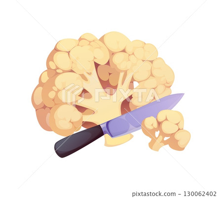 Cartoon cauliflower cut with kitchen knife. Whole vegetable with florets and chopped piece, cooking process scene. Isolated vector healthy food ingredient, natural farm harvest, raw vegetarian meal 130062402