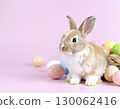 Cute bunny photos, Easter images 130062416