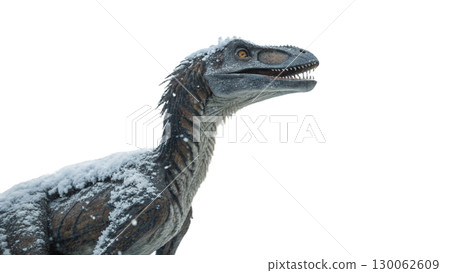 Velociraptor isolated on transparent PNG background 130062609