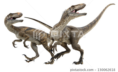 Velociraptor isolated on transparent PNG background 130062618