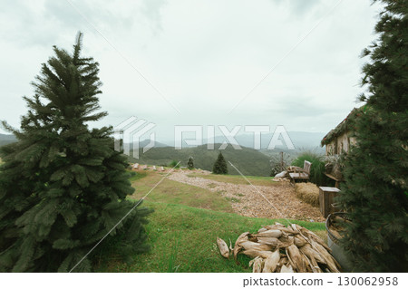 Akha Farmville, the only sheep farm of Doi Chang, Chiang Rai 130062958