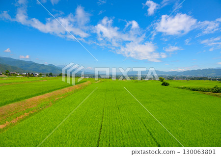 Rice fields, blue skies, and cityscapes [Azumino City] 130063801