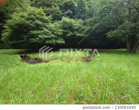 A biotope for raising fireflies A biotope for raising fireflies 130063830