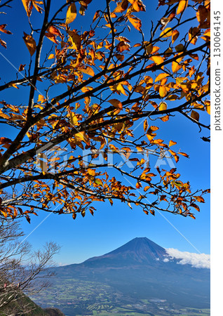 從天子山脈的毛無山的觀景台上看到的富士山，秋天的紅葉 130064145