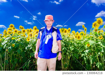Seniors working in a sunflower field 130064218