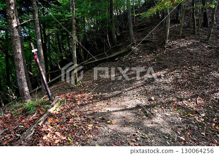 Shoji Pass in the Misaka Mountains: Top 100 Hiking Courses in Yamanashi 130064256
