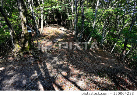 Neko Pass in the Misaka Mountains: One of Yamanashi's Top 100 Hiking Courses Neko Pass in the Misaka Mountains: One of Yamanashi's Top 100 Hiking Courses 130064258
