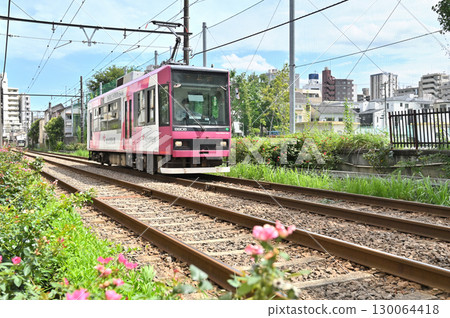 Toden Arakawa Line (Tokyo Sakura Tram) 8900 series (8906) Toden Arakawa Line (Tokyo Sakura Tram) 8900 series (8906) 130064418