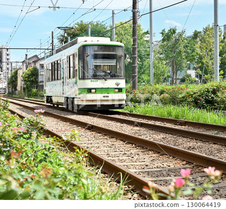 Toden Arakawa Line (Tokyo Sakura Tram) 8500 series (8503) Toden Arakawa Line (Tokyo Sakura Tram) 8500 series (8503) 130064419