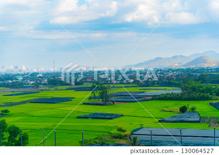 View of the city by the sea.  130064527