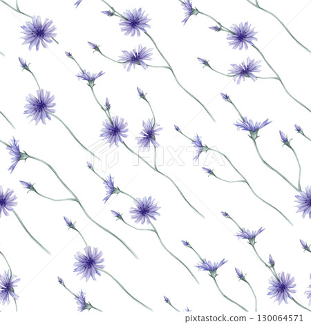 Watercolor seamless pattern white background - illustration with green leaves and blue purple chicory Wildfield herbs flowers. Wedding invites, fashion, prints, backgrounds. Mono floral pattern Watercolor seamless pattern white background - illustration with green leaves and blue purple chicory Wildfield herbs flowers. Wedding invites, fashion, prints, backgrounds. Mono floral pattern 130064571