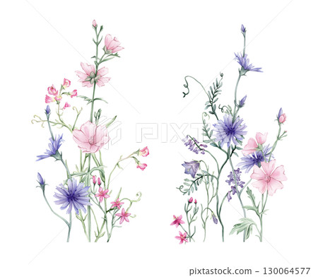 Watercolor floral composition illustration - wildflowers bouquet set. Summer meadow bluebell and pink flowers, chicory . Greetings, wallpapers, background texture, wrapping. Hand drawn illustration. 130064577