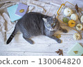 Gray tabby cat with green eyes surrounded by autumn decor. Cat in cozy autumn interior, top view. 130064820